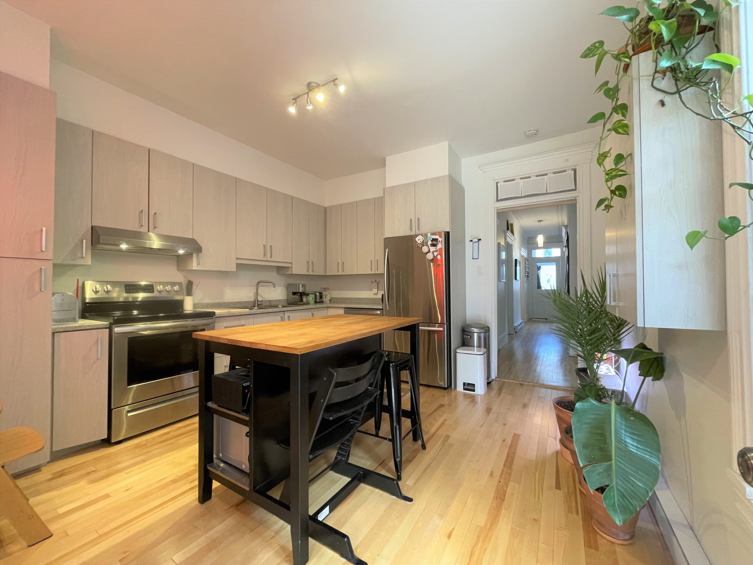 Charmant rdc avec grand jardin au soleil au pied du Mont-Royal!