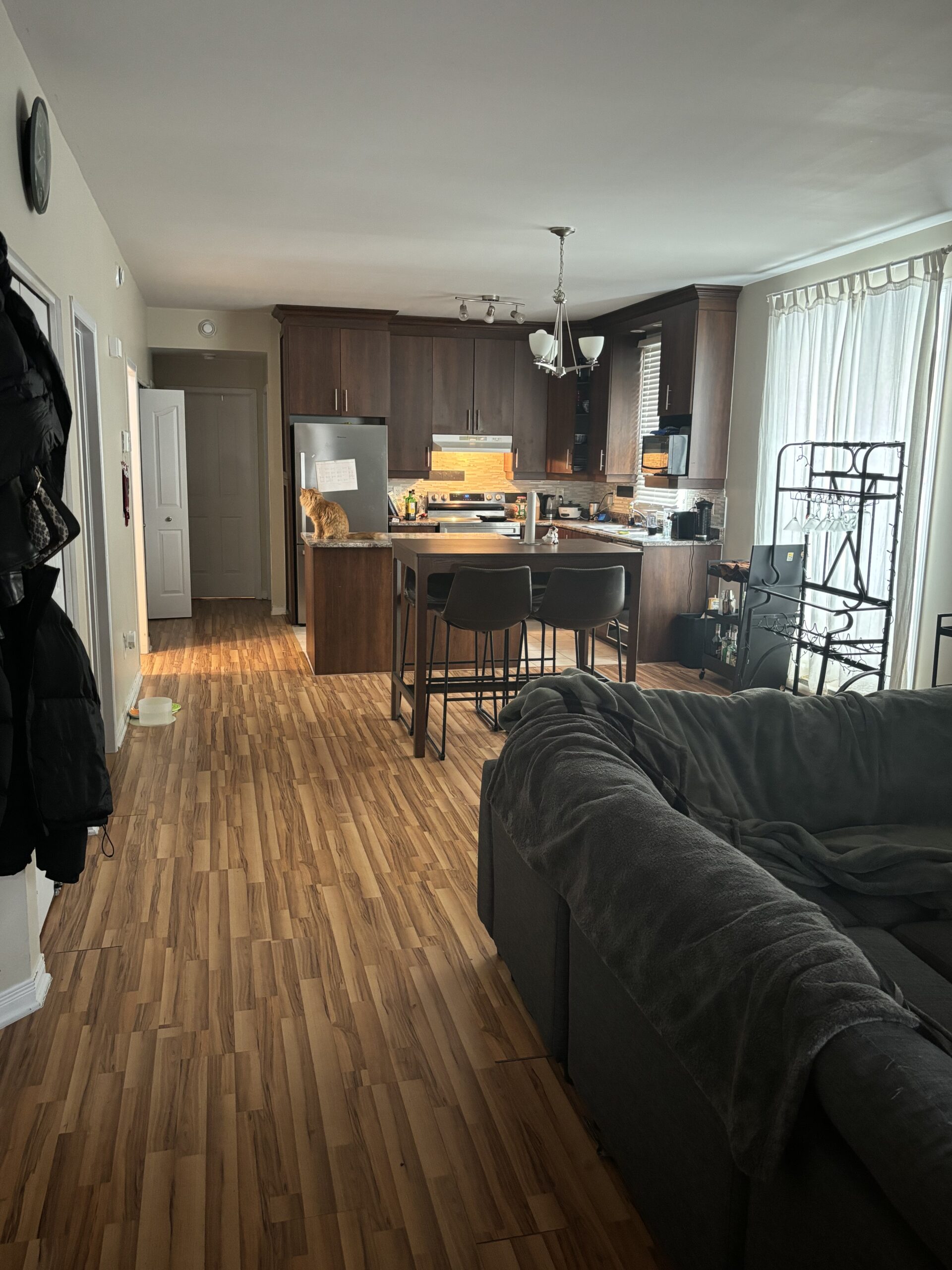 Grand appartement de 2 chambres à coucher + 1 espace de bureau, moderne et lumineux avec insonorisation supérieure, à Gatineau (Aylmer), QC. À visiter!