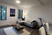 4 ½ très spacieux et rénové – Villeray–Saint-Michel–Parc-Extension