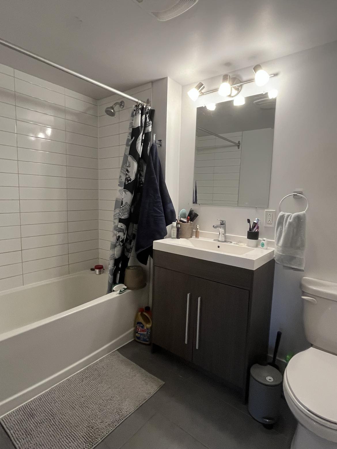 4 ½ très spacieux et rénové – Villeray–Saint-Michel–Parc-Extension