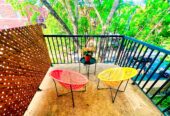 ** Sublime 5 pièces rénové – Plateau Mont-Royal – Annuel tout inclus**
