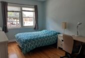 Appartement 3 chambres sur le Plateau