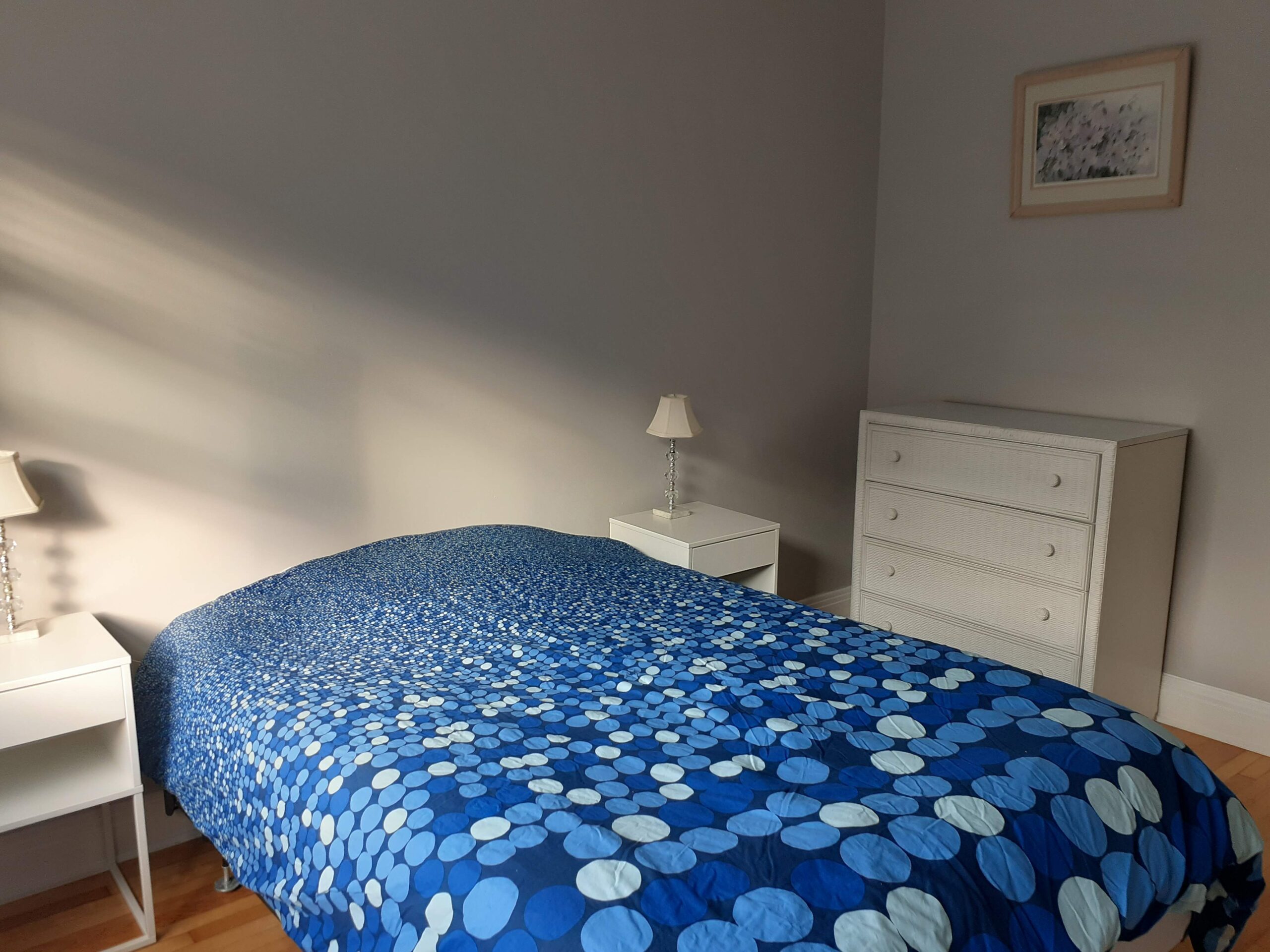 Appartement 3 chambres sur le Plateau