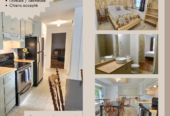 PLUSIEURS APPARTEMENTS À LOUER
