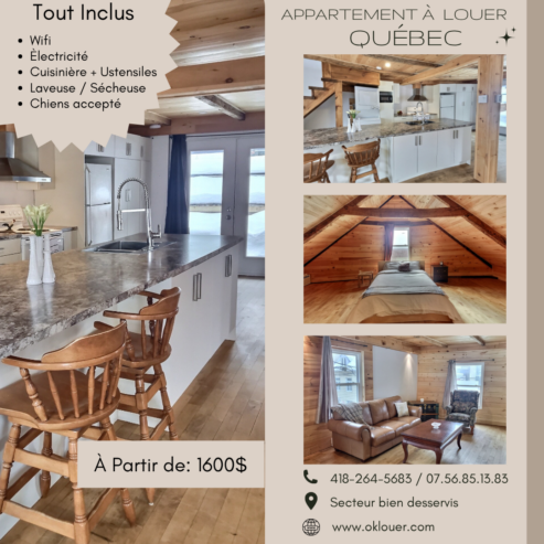PLUSIEURS APPARTEMENTS À LOUER