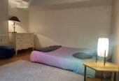 Duplex à vendre – Montréal (QC) – Quartier Vieux-Rosemont
