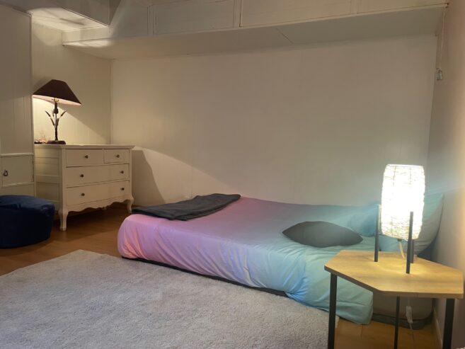 Duplex à vendre – Montréal (QC) – Quartier Vieux-Rosemont