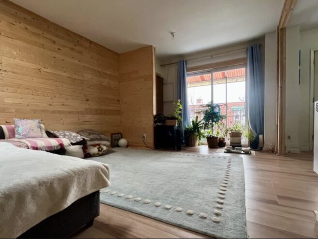 Duplex à vendre – Montréal (QC) – Quartier Vieux-Rosemont
