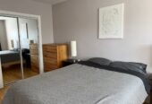 Appartement 3 chambres sur le Plateau