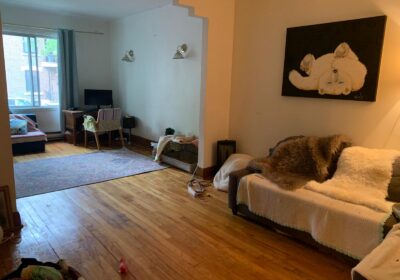Salon-familial-3