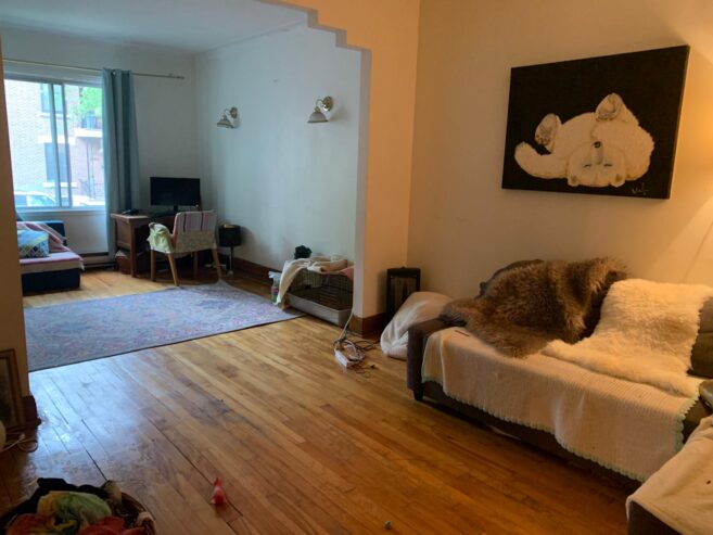 Duplex à vendre – Montréal (QC) – Quartier Vieux-Rosemont
