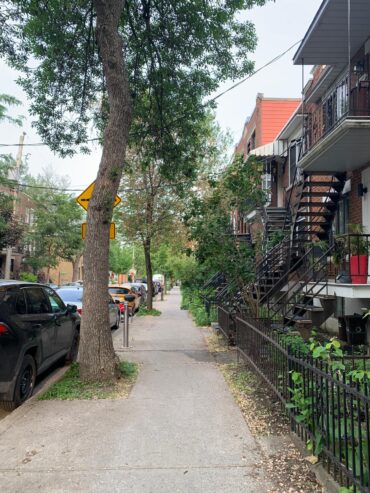 Duplex à vendre – Montréal (QC) – Quartier Vieux-Rosemont