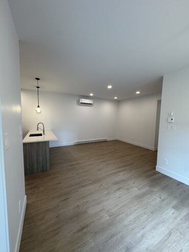 Appartement 4½ neuf à louer – Sherbrooke, stationnement, option électroménager