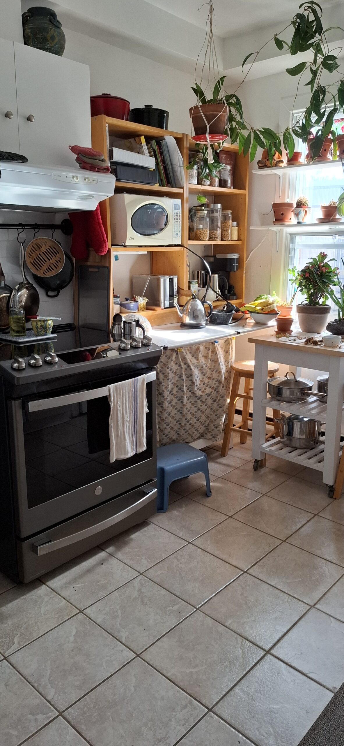 Logement à louer, apparment for rent from March 1 to June 30, 2026