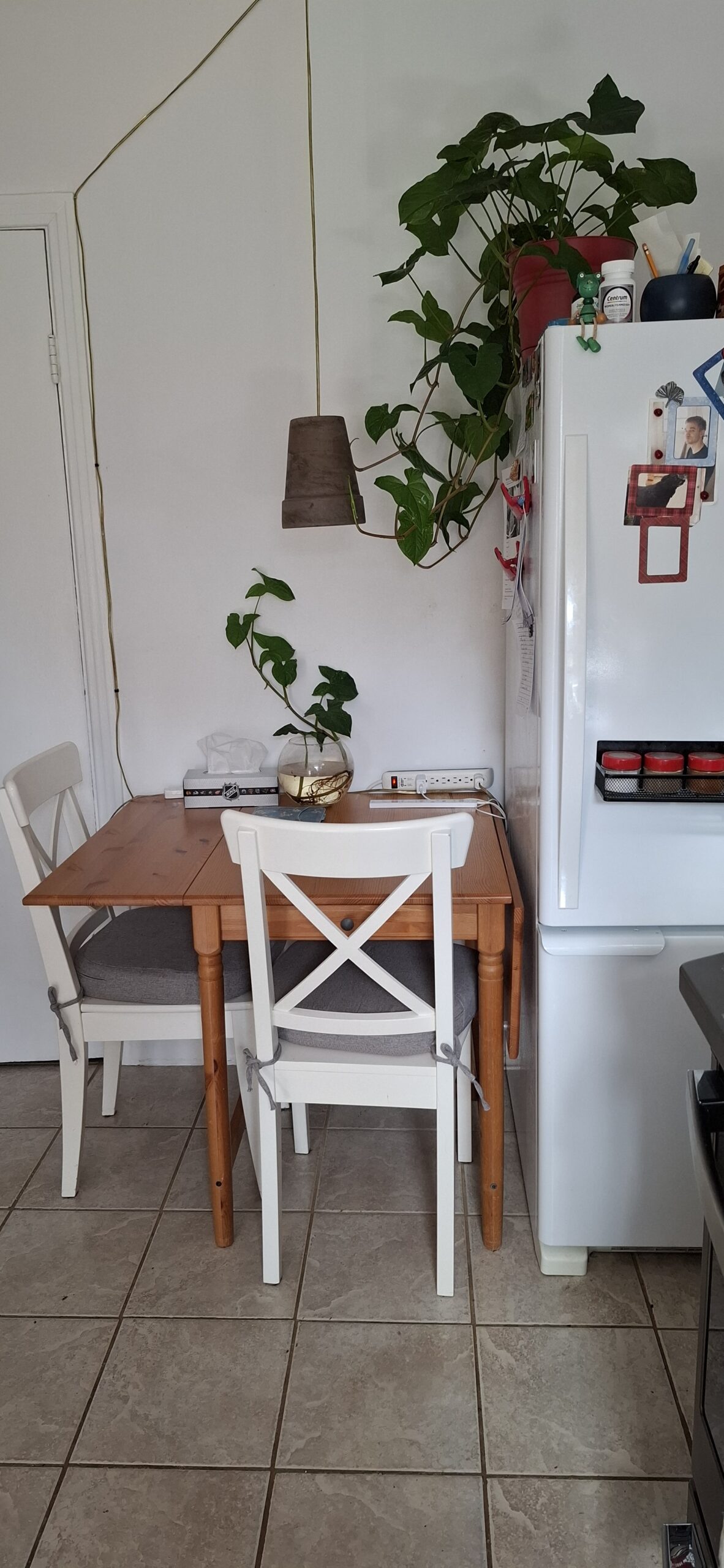 Logement à louer, apparment for rent from March 1 to June 30, 2026
