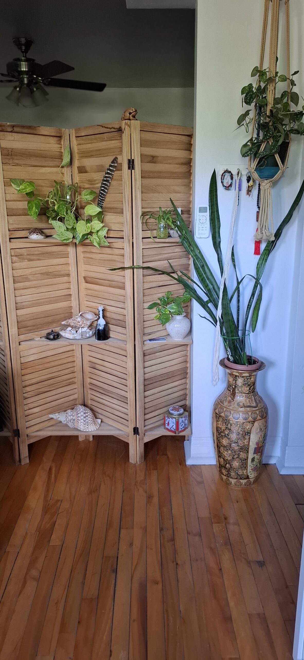 Logement à louer, apparment for rent from March 1 to June 30, 2026