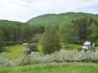 Domaine de 12ha absolument UNIQUE en Gaspésie