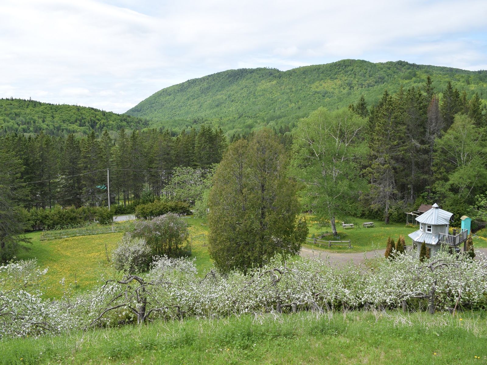 Domaine de 12ha absolument UNIQUE en Gaspésie
